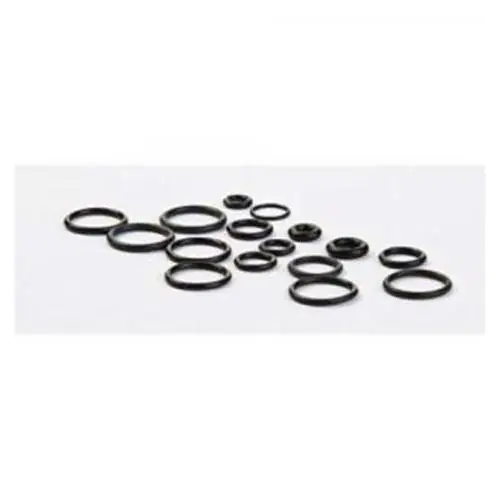 Briggs & Stratton Pressure Washer 200346GS O Ring Kit Deal